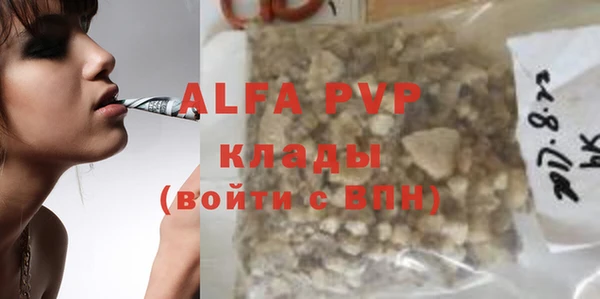 крисы Алексин