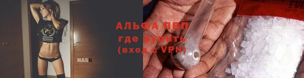 хмурый Няндома