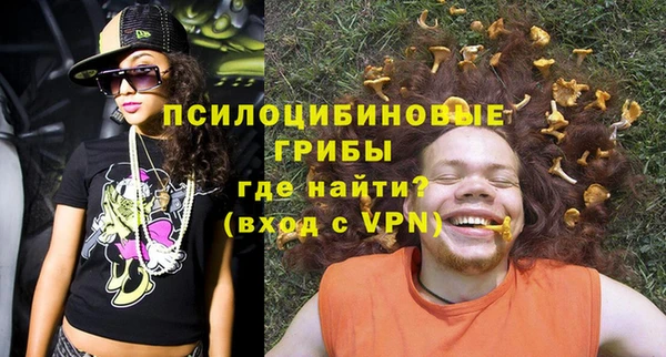 бошки Алексеевка
