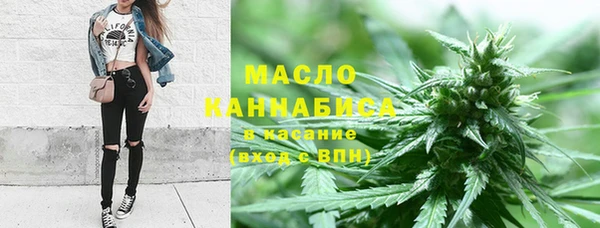 тгк Алзамай