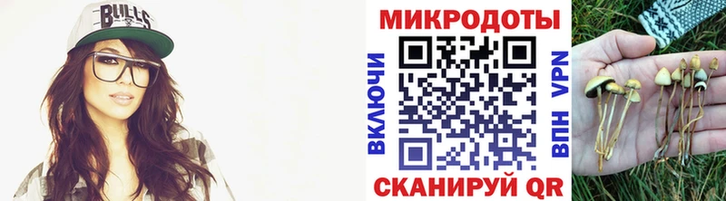 Псилоцибиновые грибы мицелий  цена   площадка как зайти  Похвистнево 